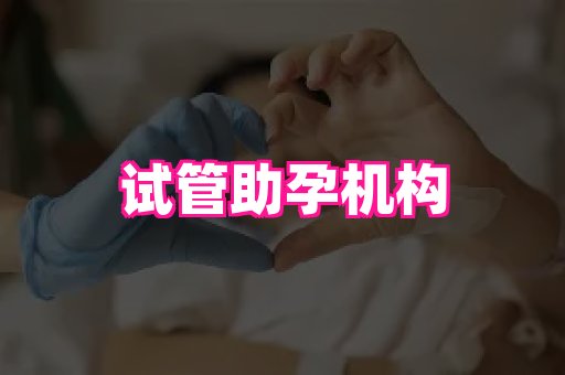 梦美助孕网 2