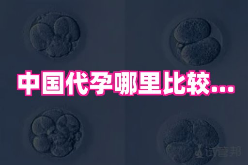 梦美助孕网 4